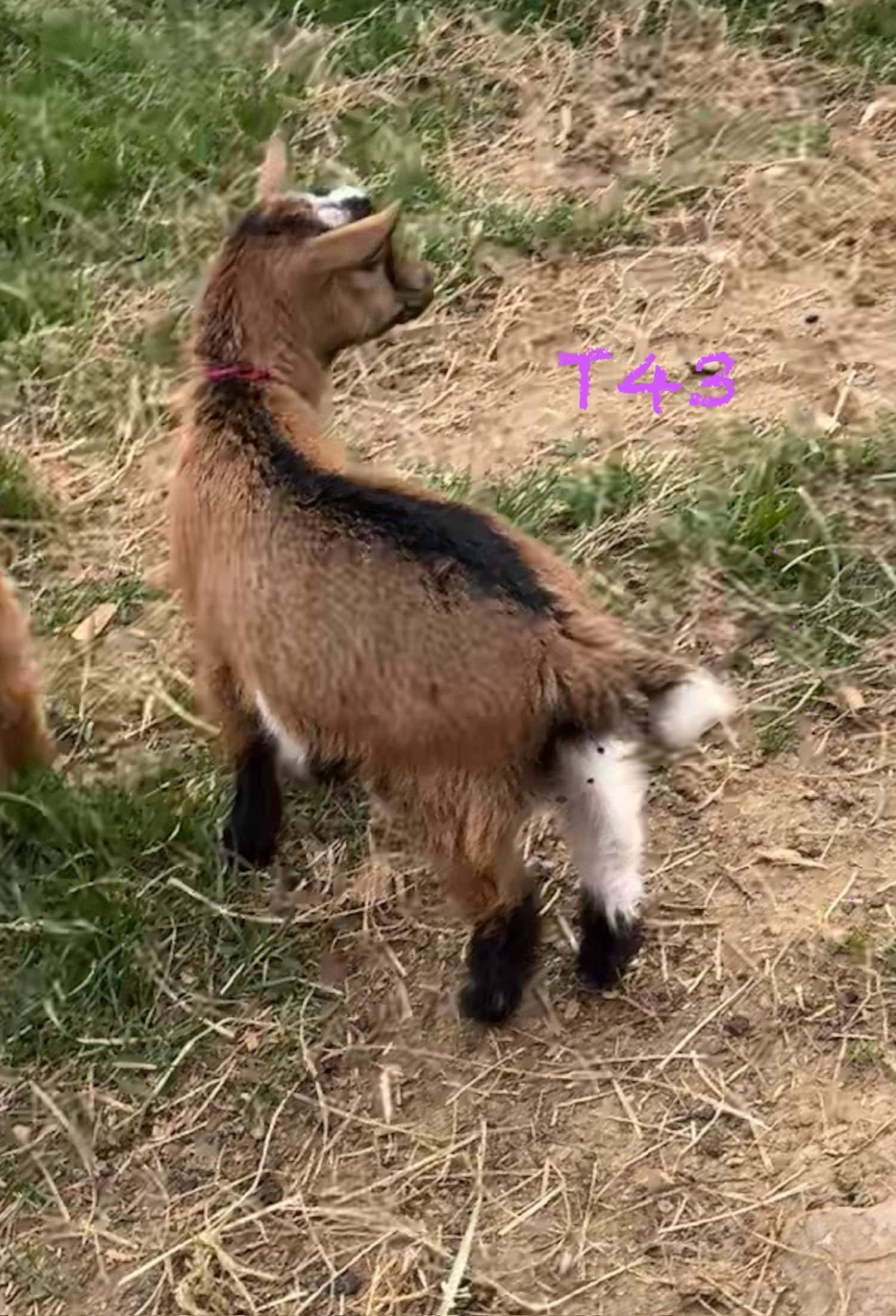 Img 2412